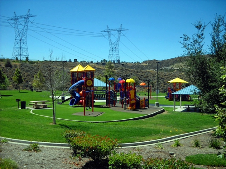 Fake Grass Fairbanks Ranch, California Design Ideas, Recreational Areas