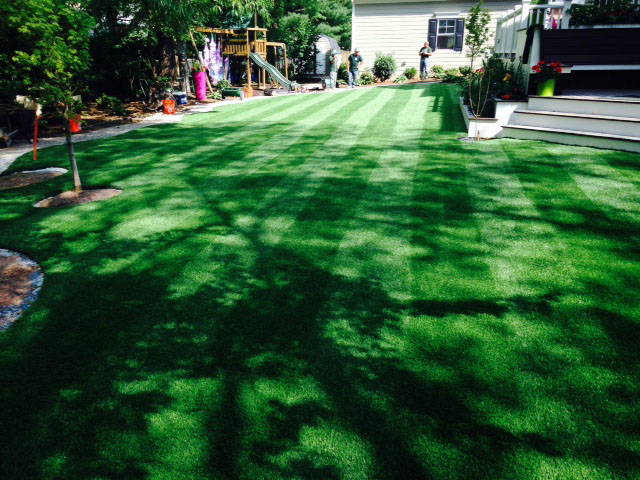 Fake Grass Santee, California Landscape Rock, Backyard Design