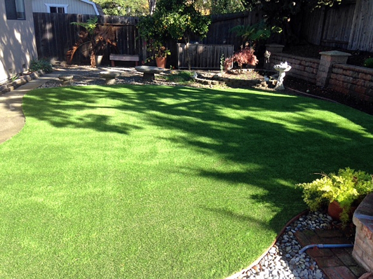 Fake Lawn Calipatria, California Landscape Photos, Small Backyard Ideas