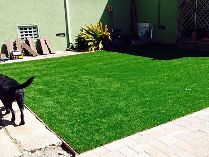 Fake Turf Calexico, California Backyard Deck Ideas, Dogs Park