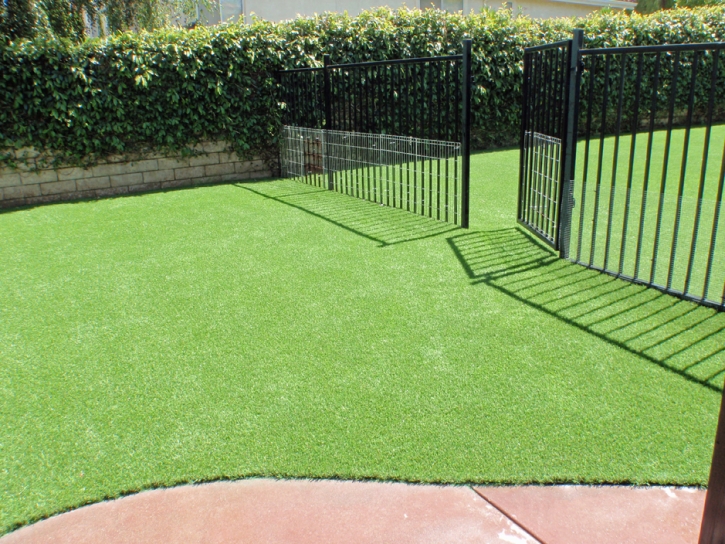 Fake Turf Rancho Santa Fe, California Watch Dogs, Front Yard Ideas