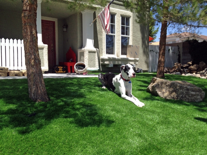 Faux Grass Bonita, California Dog Parks, Small Front Yard Landscaping