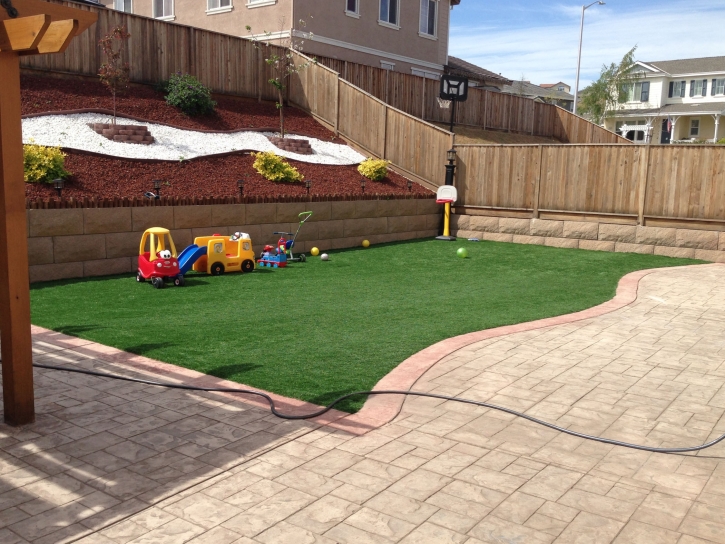 Faux Grass Heber, California Playground Turf, Backyard