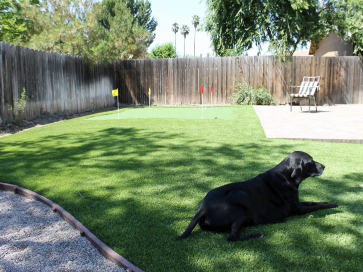 Faux Grass Lakeside, California Gardeners, Backyard Ideas