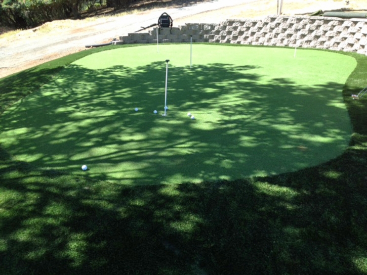 Faux Grass Oceanside, California Indoor Putting Green, Beautiful Backyards