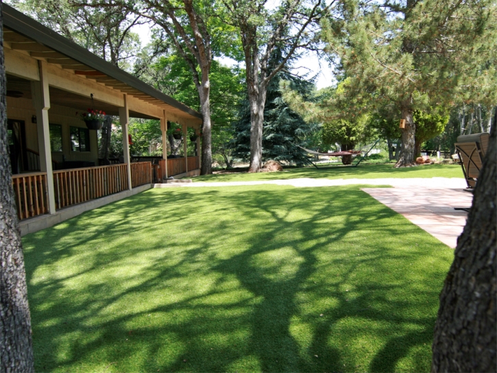 Faux Grass Spring Valley, California Pictures Of Dogs, Backyards