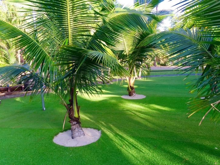 Grass Carpet Borrego Springs, California Landscape Design, Commercial Landscape