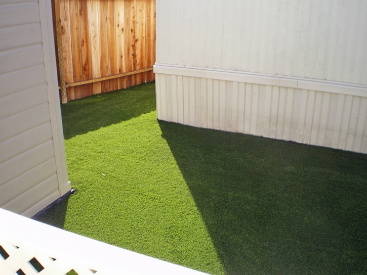 Grass Carpet Crest, California Artificial Turf For Dogs, Backyard Garden Ideas