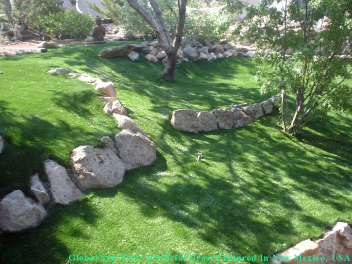 Grass Carpet Niland, California Gardeners, Pavers