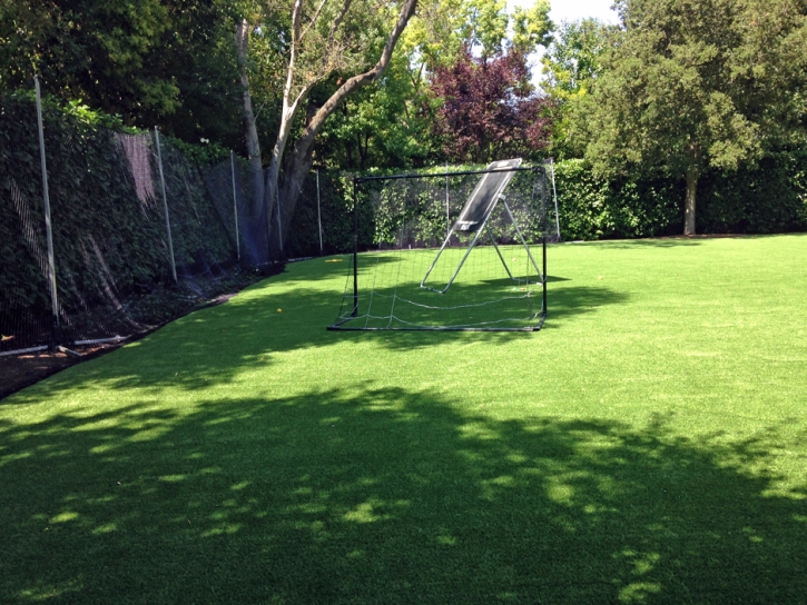 Grass Carpet Pine Valley, California Paver Patio, Backyard Landscaping