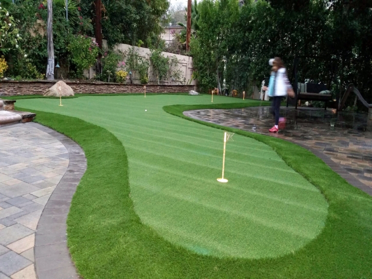Grass Carpet San Pasqual, California Putting Green Carpet, Backyard Ideas