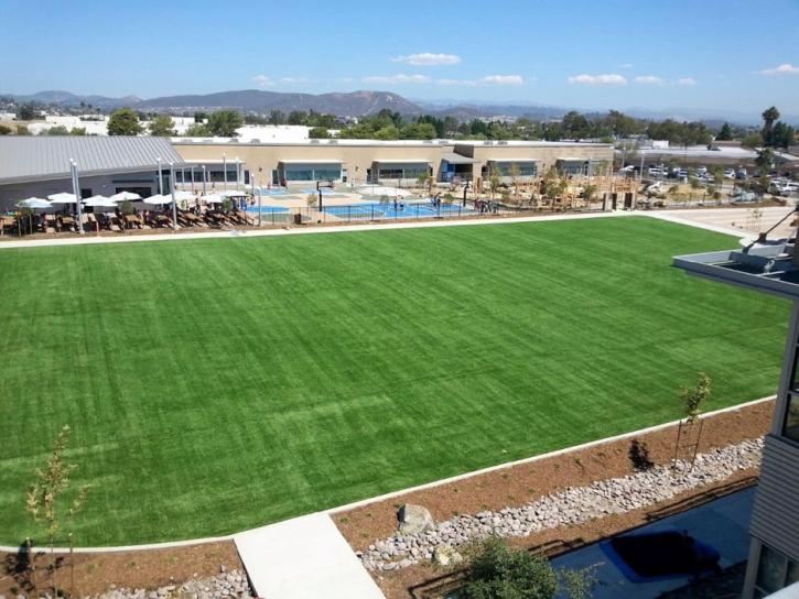 Grass Turf Imperial, California Sports Athority, Commercial Landscape