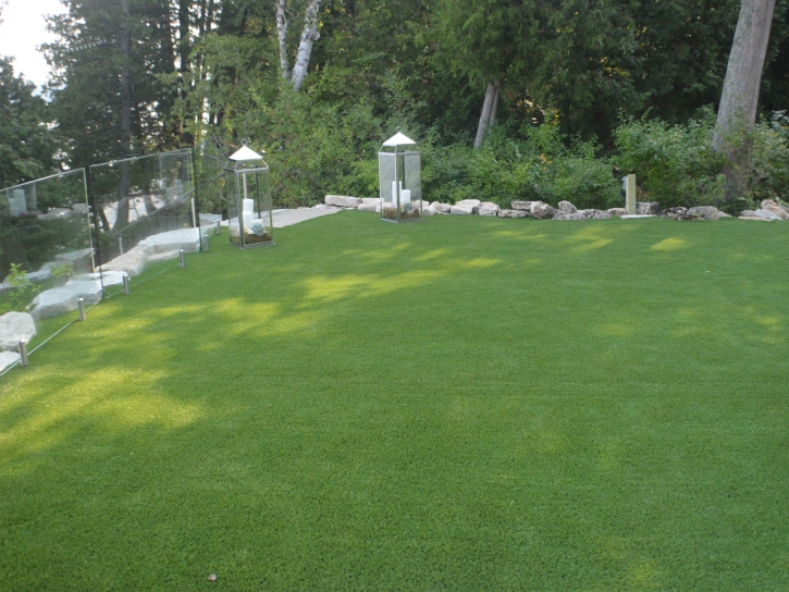 Grass Turf Solana Beach, California Gardeners, Small Backyard Ideas