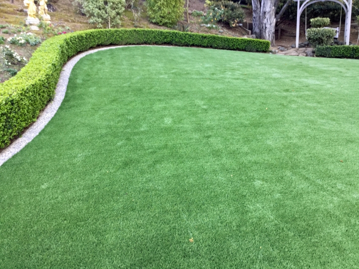 Green Lawn Rancho Santa Fe, California Lawns, Backyard