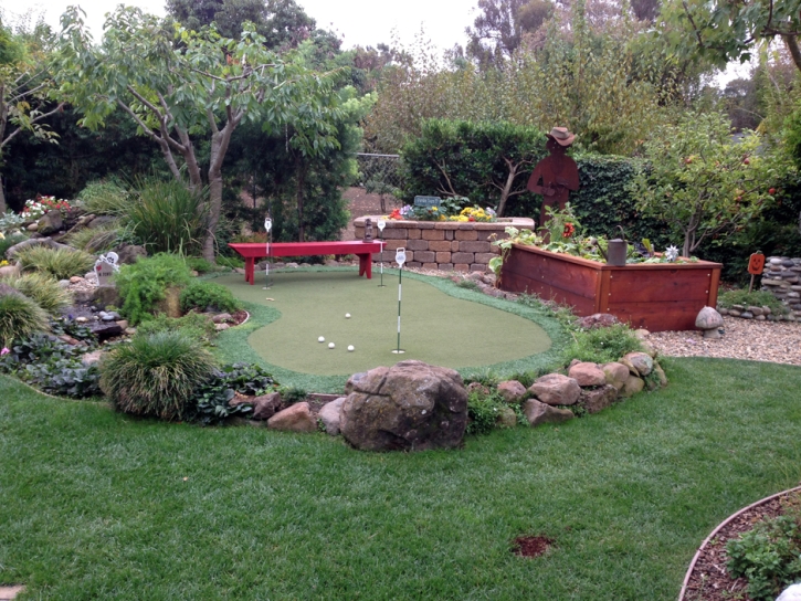 Green Lawn Santee, California Landscaping, Backyard