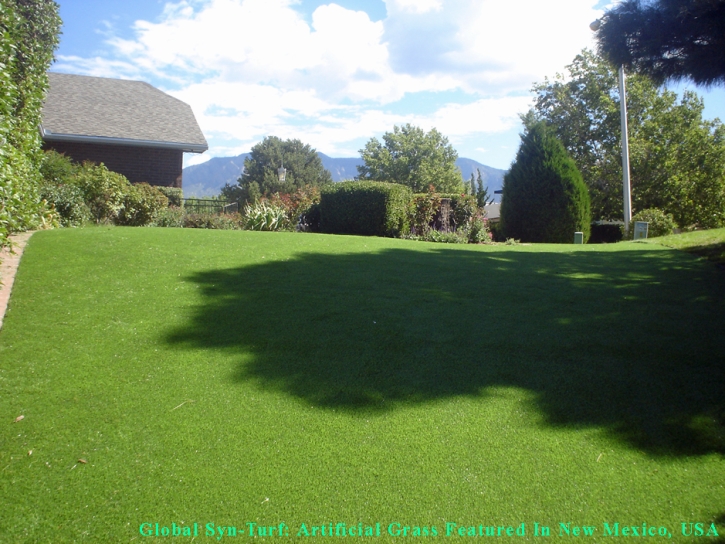 Installing Artificial Grass Calipatria, California Lawn And Landscape, Backyards