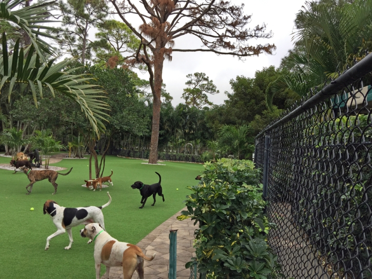 Installing Artificial Grass Niland, California Fake Grass For Dogs, Commercial Landscape