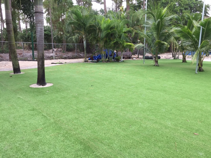 Lawn Services Chula Vista, California Design Ideas, Commercial Landscape