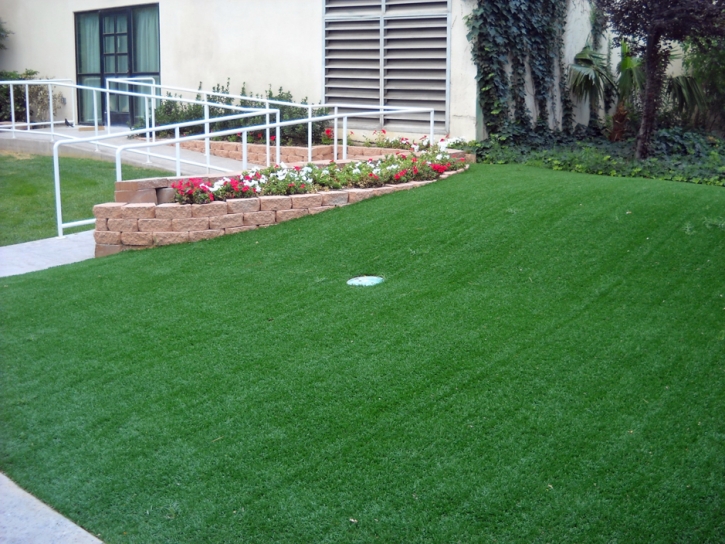 Outdoor Carpet Camp Pendleton South, California Putting Green Carpet, Front Yard Landscape Ideas