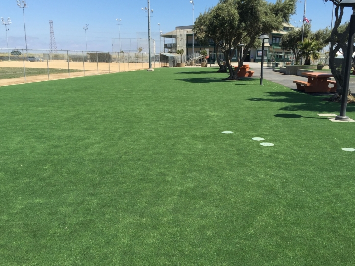 Outdoor Carpet Eucalyptus Hills, California Lawn And Landscape, Recreational Areas