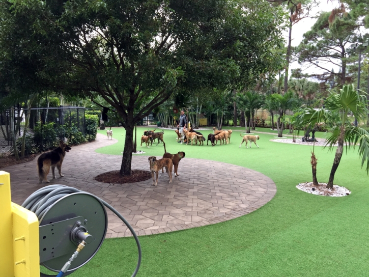 Outdoor Carpet Rancho San Diego, California Dog Parks, Commercial Landscape