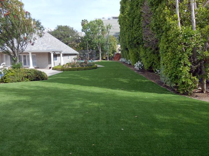 Outdoor Carpet Santee, California Landscaping, Front Yard Ideas