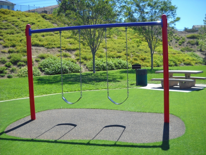 Plastic Grass Bonsall, California Playground, Recreational Areas