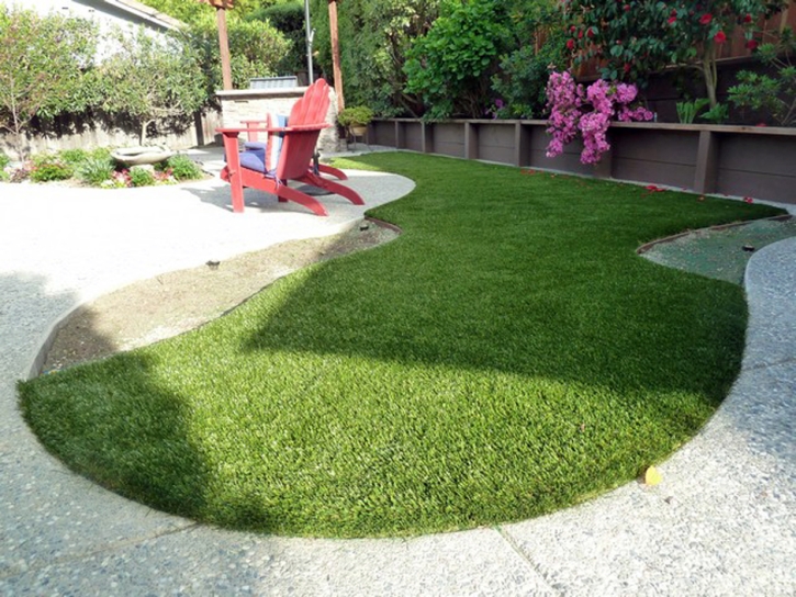 Plastic Grass Encinitas, California Landscaping Business, Backyard