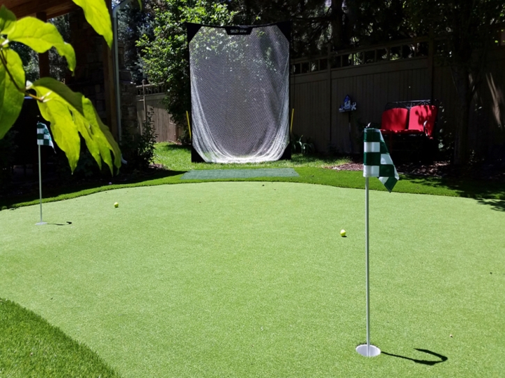 Plastic Grass Imperial, California Backyard Playground, Beautiful Backyards