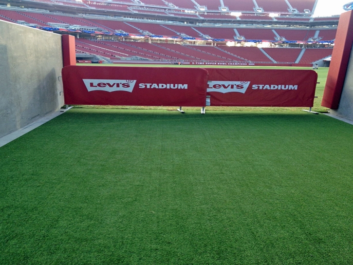 Plastic Grass Seeley, California Stadium