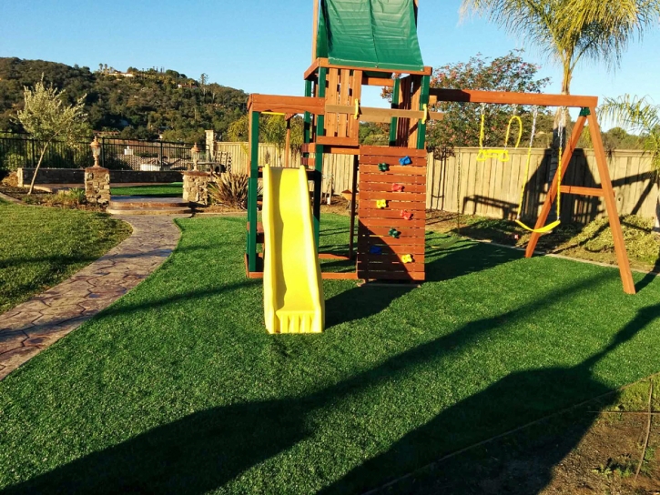 Synthetic Grass Cost Solana Beach, California Lawn And Garden, Backyard Landscaping