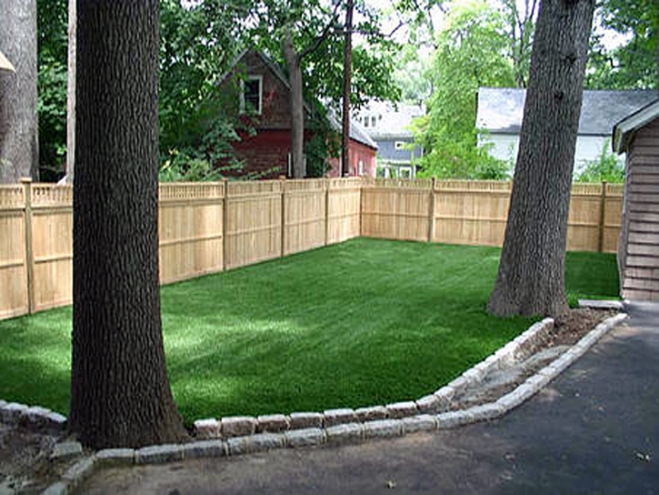 Synthetic Grass Cost Solana Beach, California Pet Turf, Backyard Designs