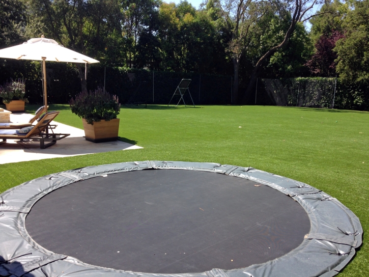 Synthetic Grass Del Mar, California Landscaping, Pool Designs