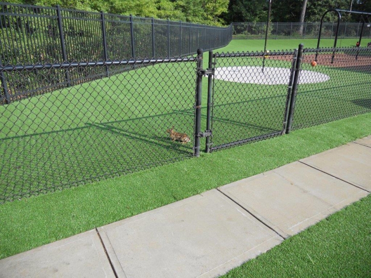 Synthetic Grass Rancho San Diego, California City Landscape, Parks