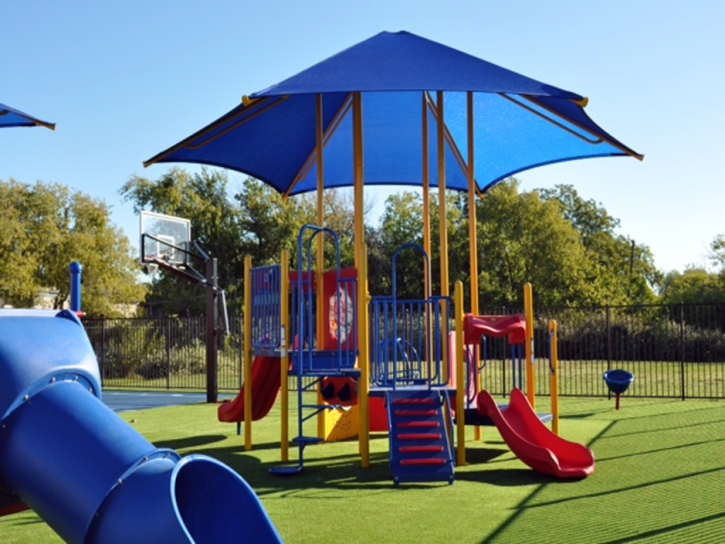 Synthetic Lawn Hidden Meadows, California Kids Indoor Playground, Recreational Areas