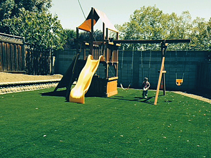 Synthetic Lawn Holtville, California Lawn And Landscape, Backyard Landscaping