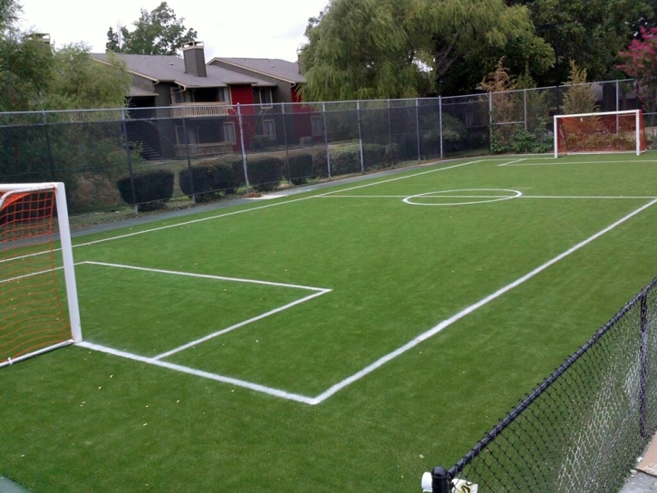 Synthetic Turf Harbison Canyon, California Stadium, Commercial Landscape