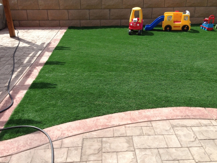 Synthetic Turf Spring Valley, California Paver Patio, Backyard Landscaping Ideas