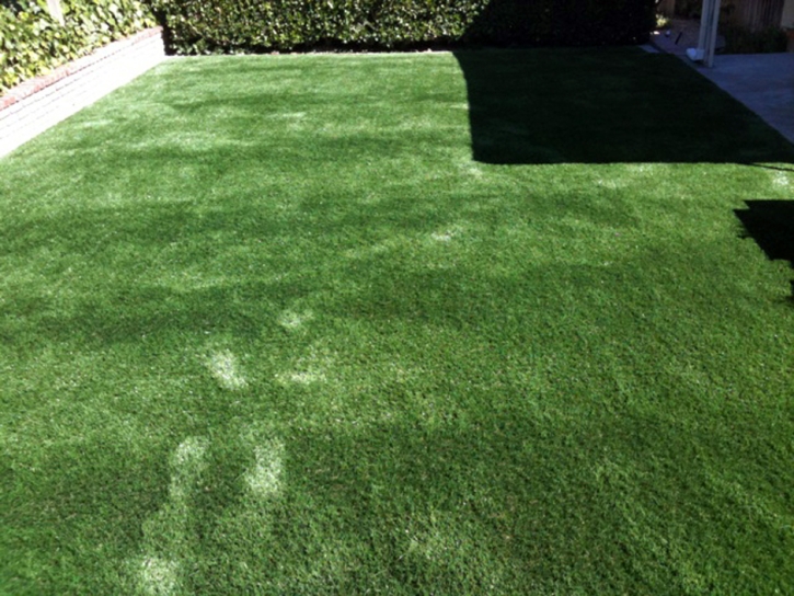 Synthetic Turf Supplier Lemon Grove, California Backyard Deck Ideas, Backyard Landscaping Ideas