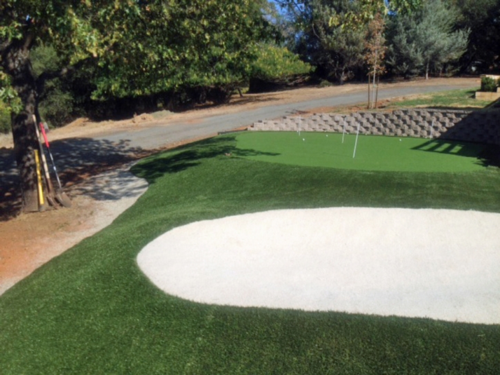 Synthetic Turf Supplier Pine Valley, California Indoor Putting Greens, Front Yard Landscape Ideas