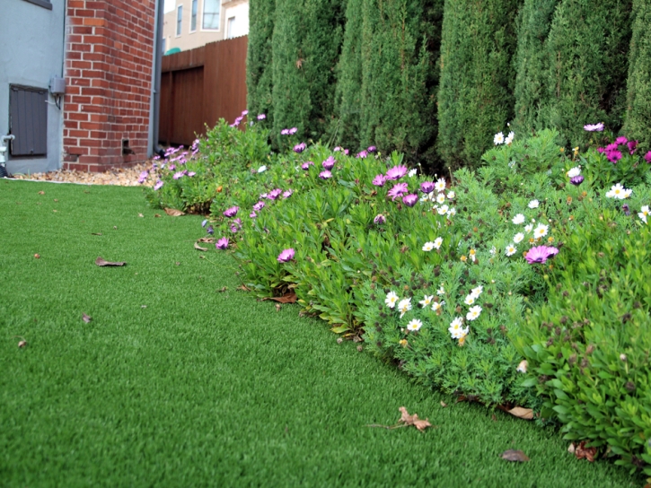 Turf Grass Coronado, California Lawn And Landscape, Front Yard Ideas
