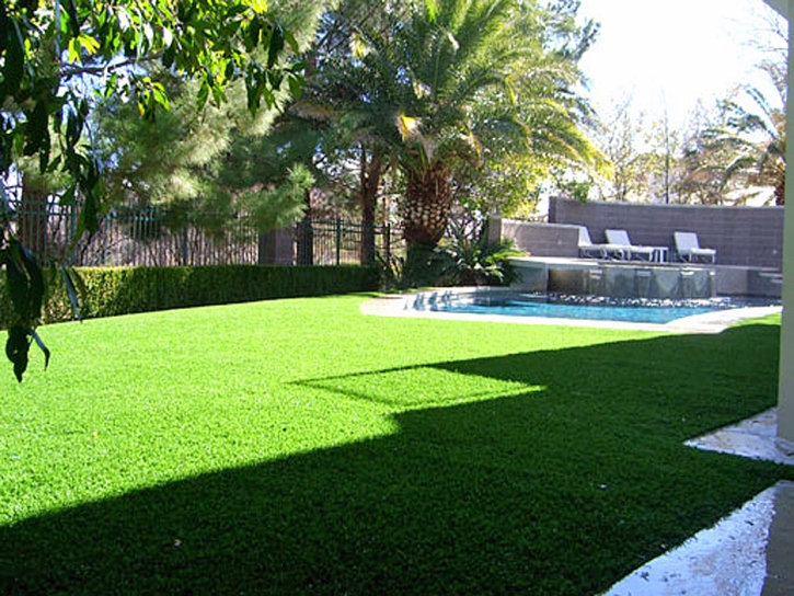 Turf Grass Escondido, California Landscape Ideas, Backyard Ideas