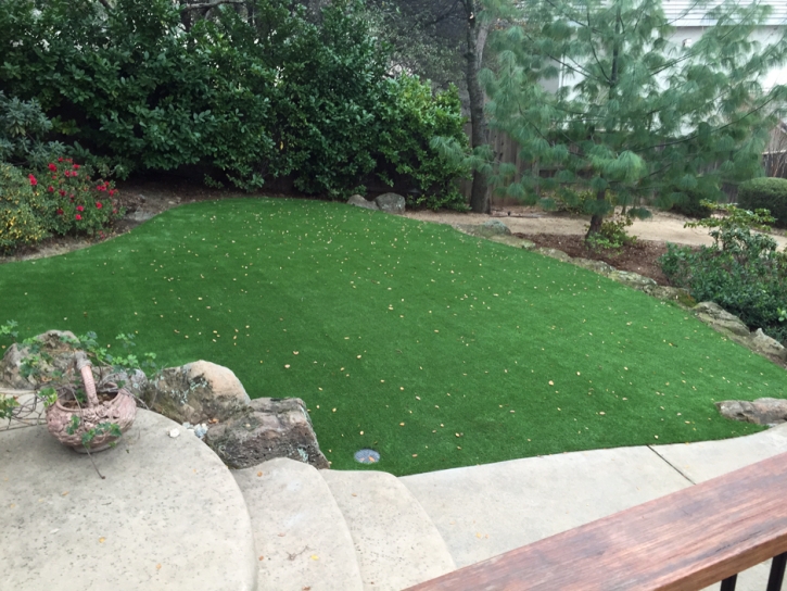 Turf Grass Eucalyptus Hills, California Home And Garden, Backyards