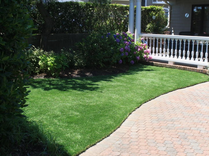 Turf Grass Fallbrook, California Gardeners, Front Yard Landscape Ideas