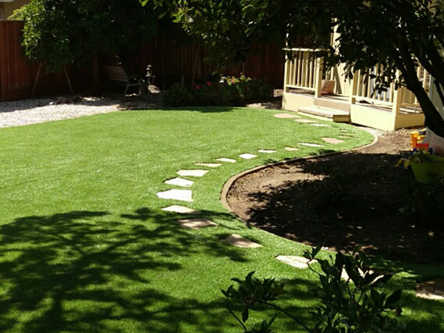 Turf Grass Poway, California Design Ideas, Small Backyard Ideas