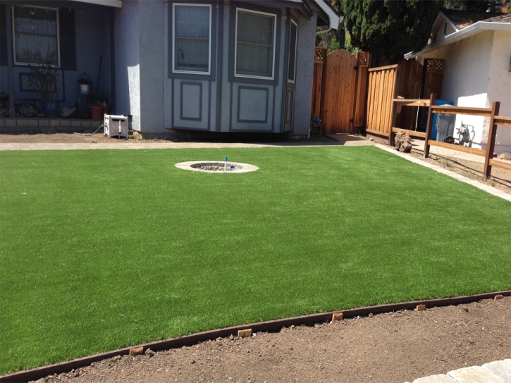 Turf Grass Winter Gardens, California Gardeners, Backyard Makeover